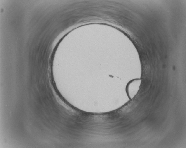 X0000071801518200607282315