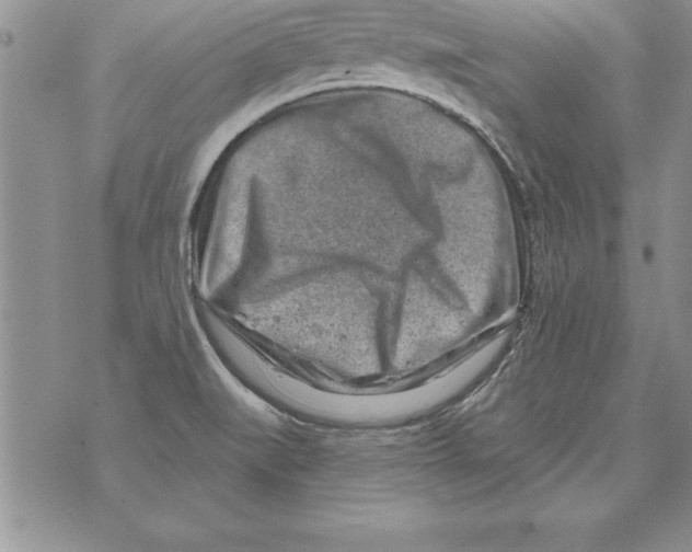 X0000071801519200607282315