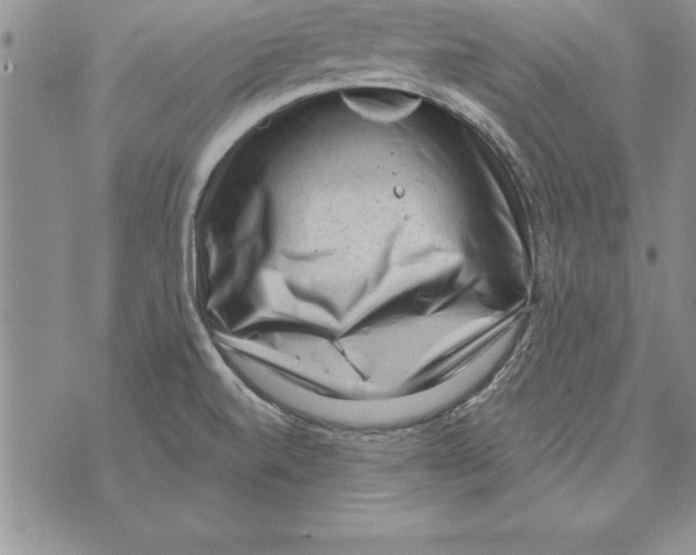 X0000071801520200607282315