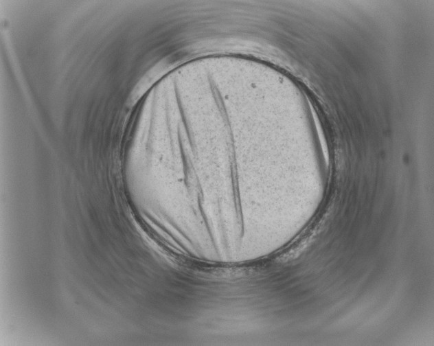 X0000071801521200607282315