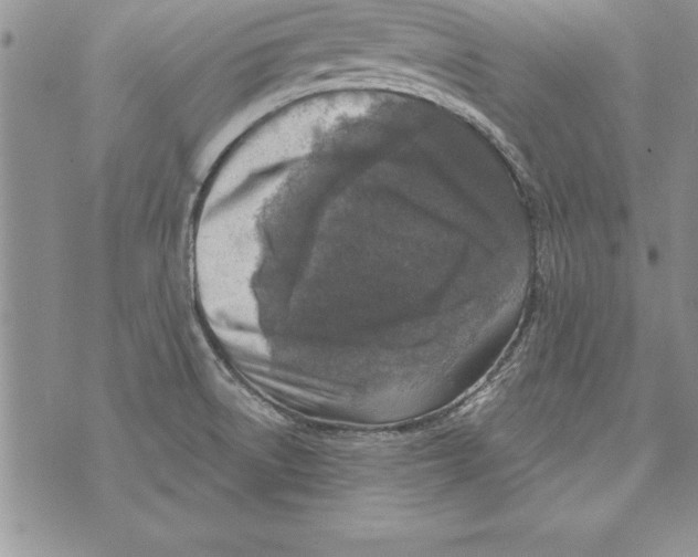 X0000071801522200607282315