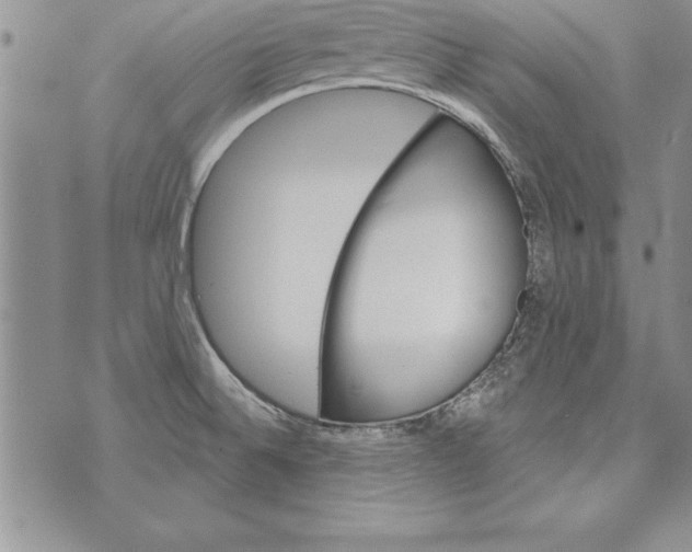 X0000071801524200607282315