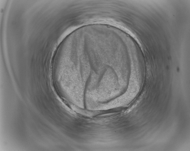 X0000071801525200607282315