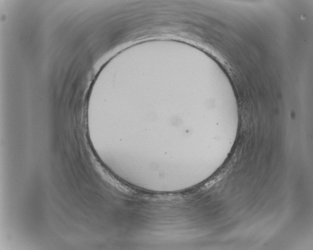 X0000071801526200607282315