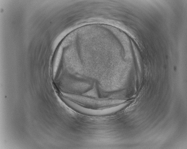 X0000071801527200607282315