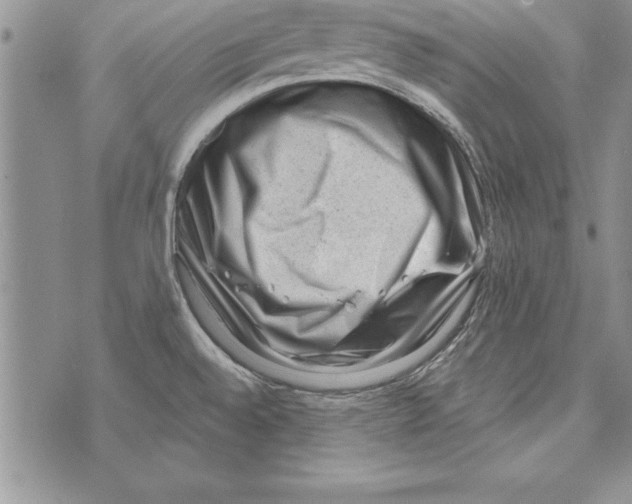 X0000071801528200607282315