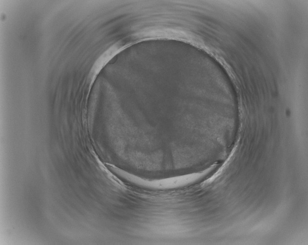 X0000071801529200607282315