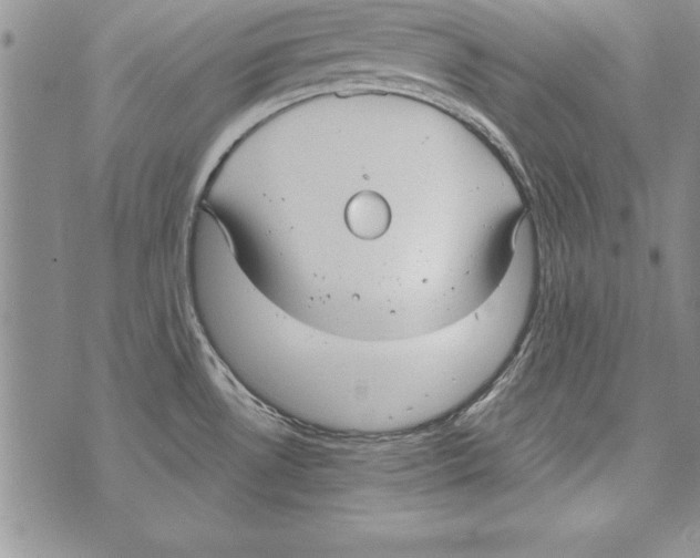 X0000071801530200607282315