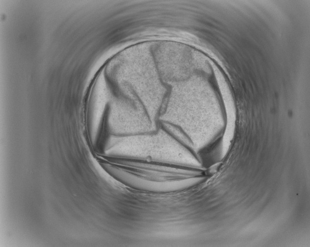 X0000071801531200607282315