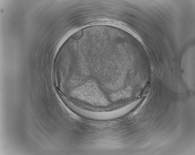 X0000071801533200607282315