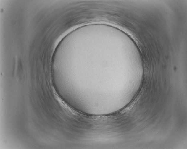 X0000071801534200607282315