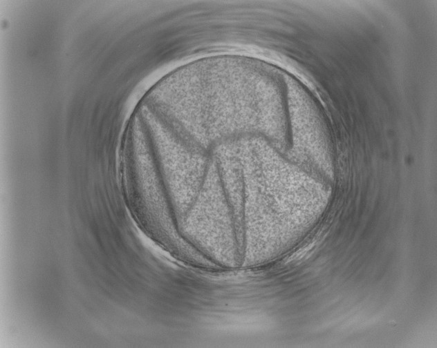 X0000071801535200607282315