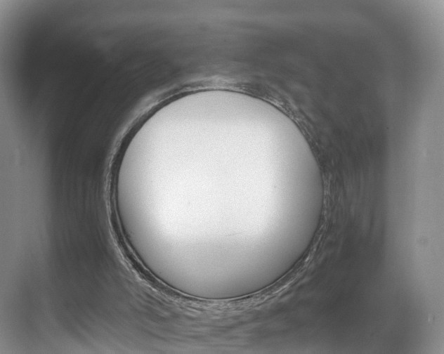 X0000071810006200606301047