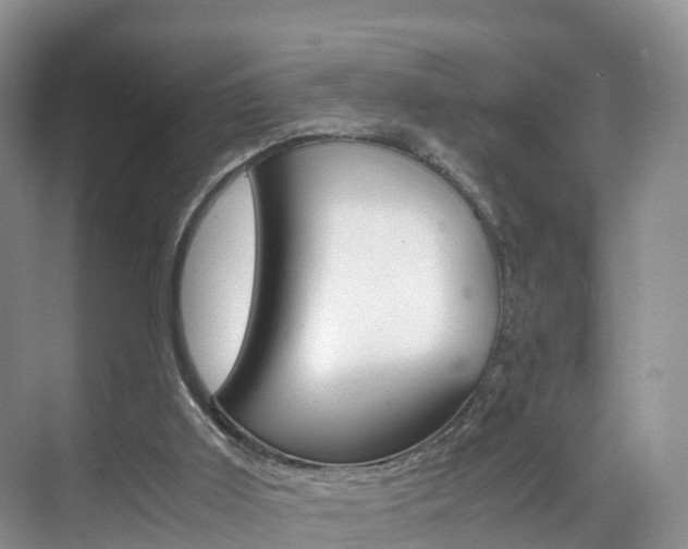 X0000071810011200606301047