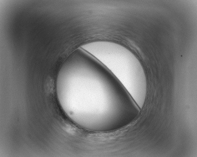 X0000071810025200606301047