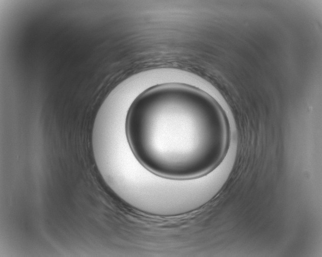 X0000071810035200606301047