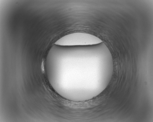 X0000071810042200606301047