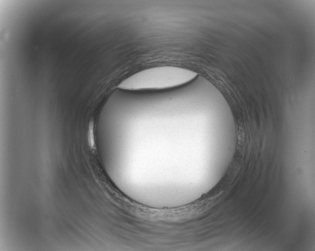 X0000071810046200606301047