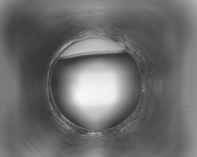 X0000071810052200606301046