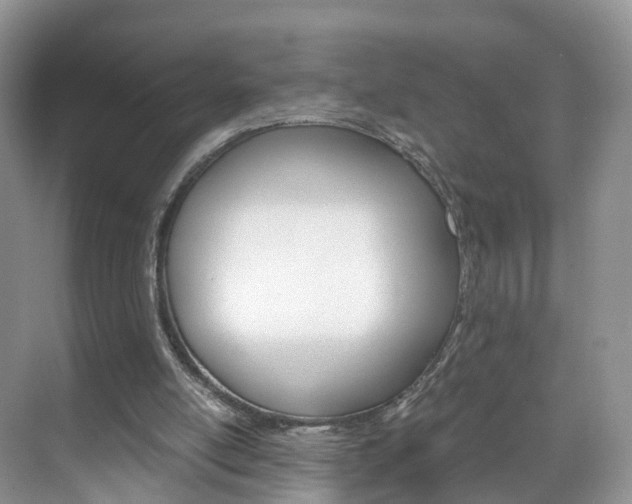 X0000071810054200606301046