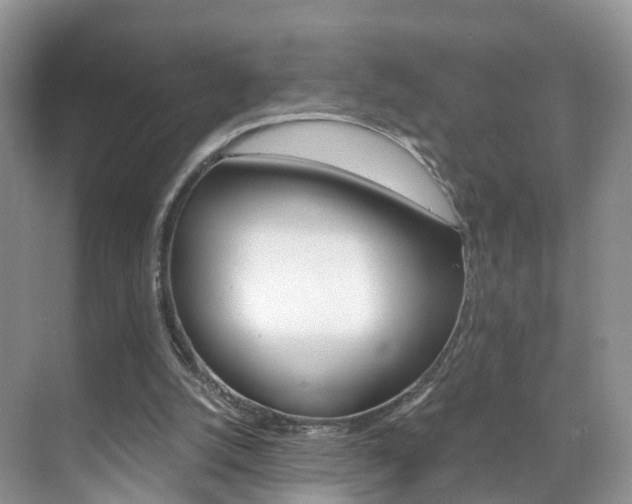 X0000071810056200606301046