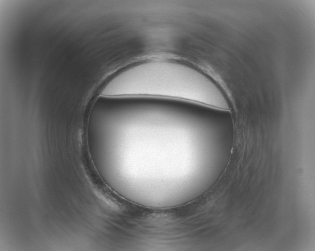 X0000071810063200606301046