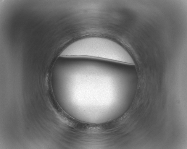 X0000071810066200606301046