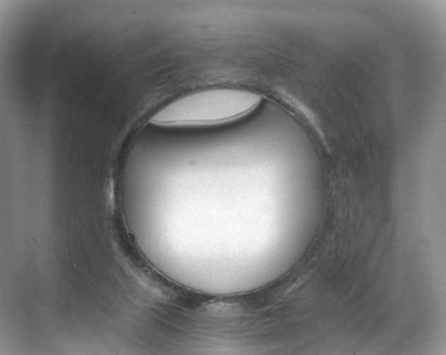 X0000071810067200606301046