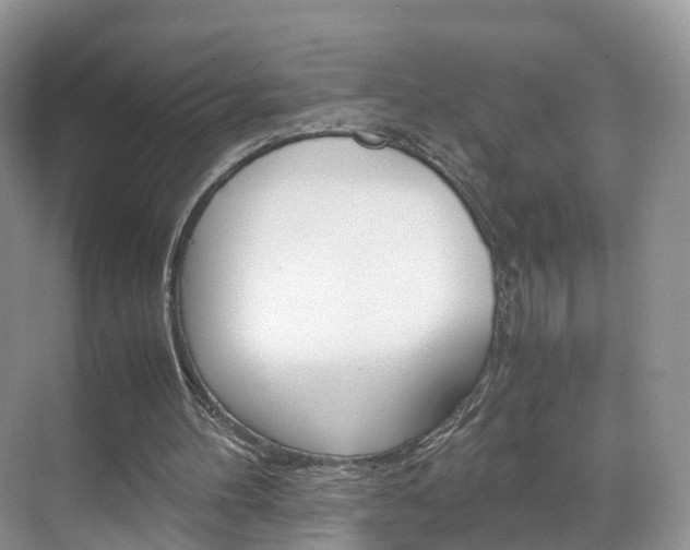 X0000071810100200606301046