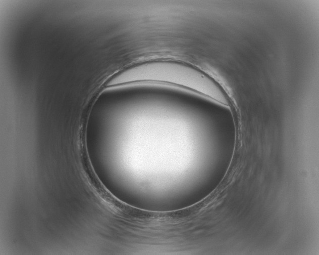 X0000071810105200606301046