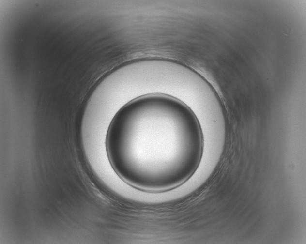 X0000071810109200606301045