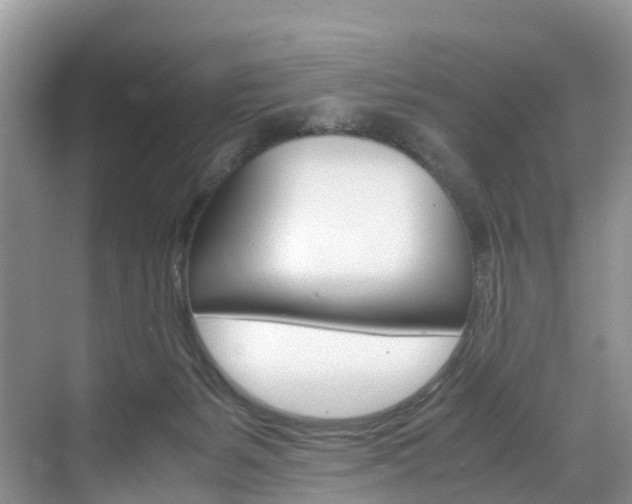 X0000071810127200606301045