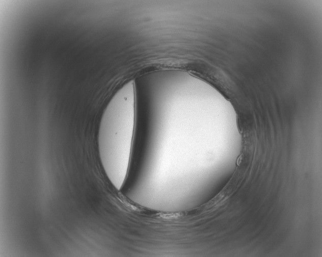 X0000071810143200606301045