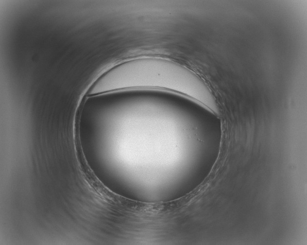 X0000071810148200606301044