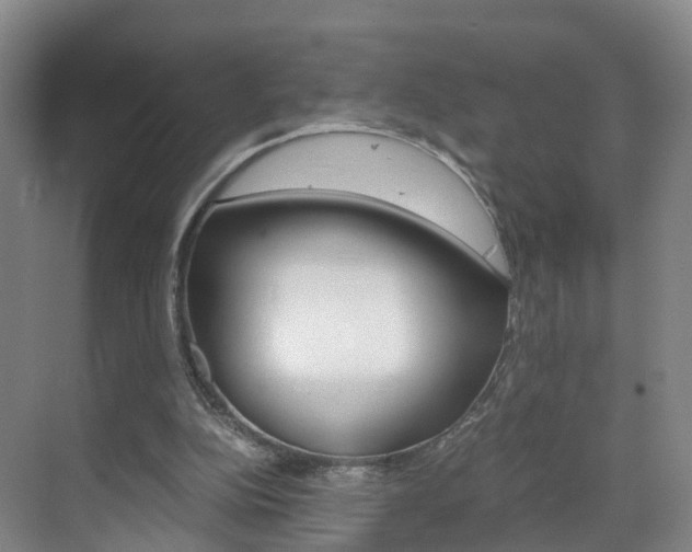 X0000071810152200606301044