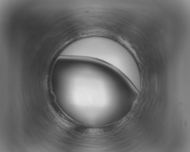X0000071810154200606301044