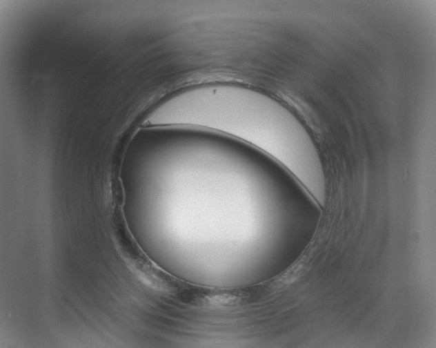 X0000071810158200606301044
