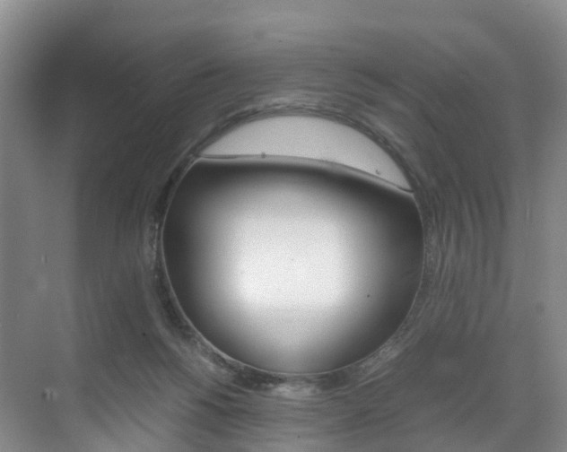 X0000071810168200606301044
