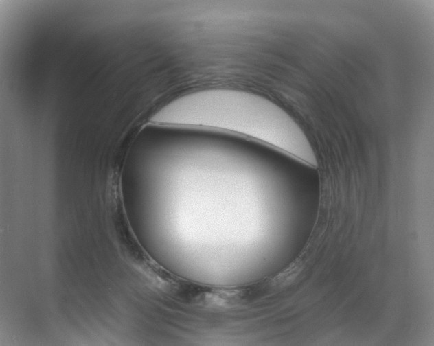 X0000071810172200606301045