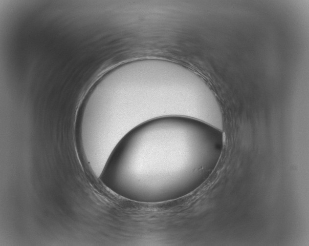 X0000071810195200606301044