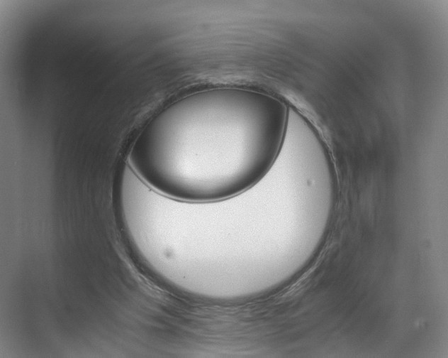 X0000071810201200606301044