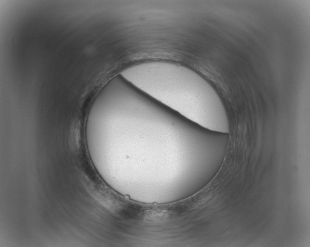 X0000071810206200606301044