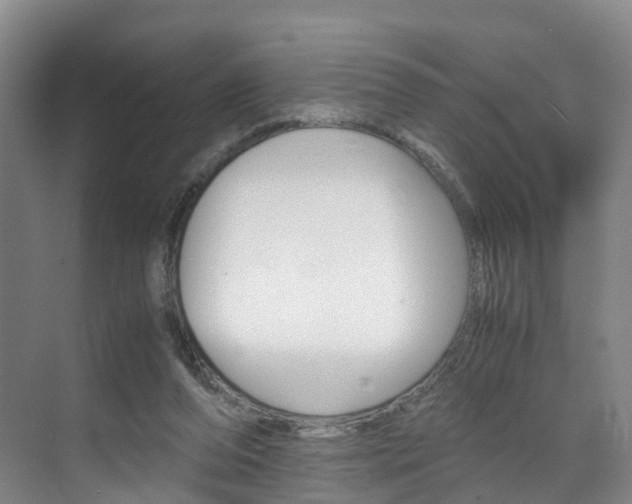 X0000071810208200606301044