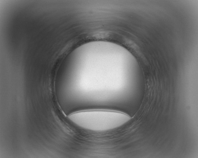 X0000071810212200606301044