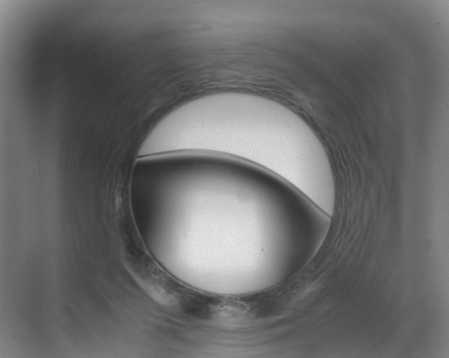 X0000071810215200606301044