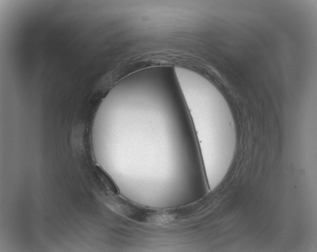 X0000071810217200606301044