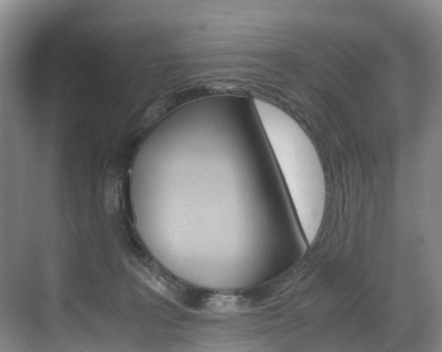 X0000071810227200606301044