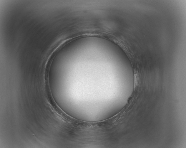 X0000071810243200606301043