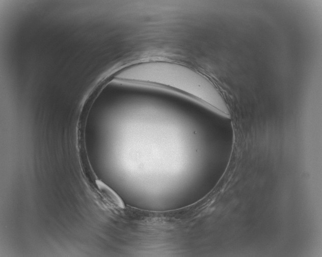 X0000071810244200606301043