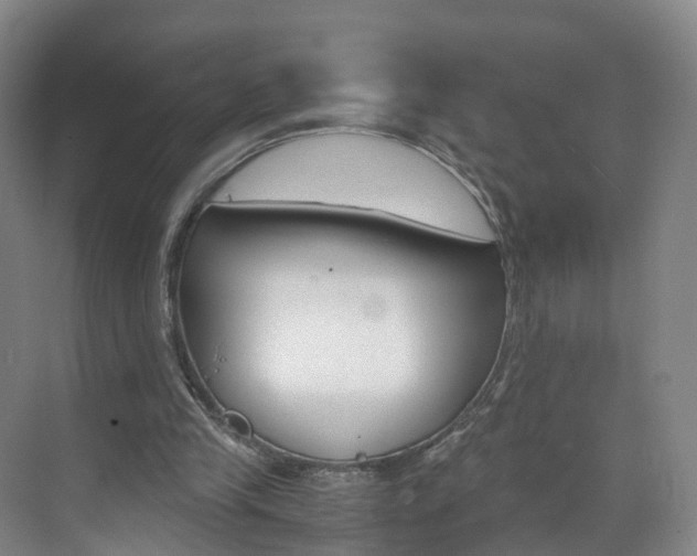 X0000071810245200606301043